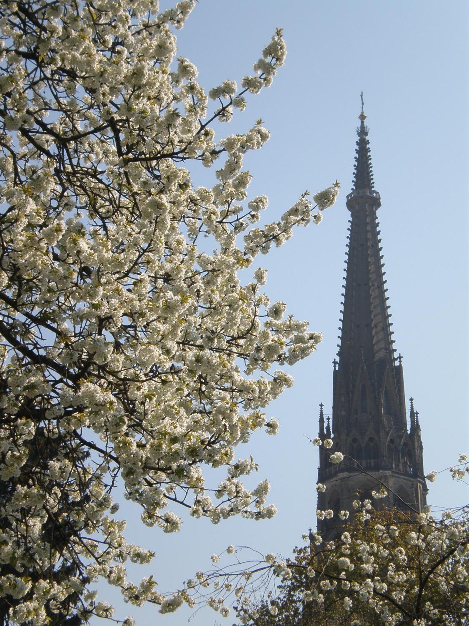 Dom Hotel Linz Exterior photo
